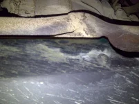 IMG-20141024-01979.webp