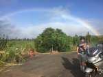 Maui Rainbow.jpg