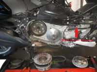 Clutch Belt.webp