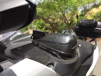 Bark Busters IMG_4645 (002).webp
