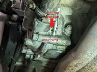 A03 Water Pump Drain.webp