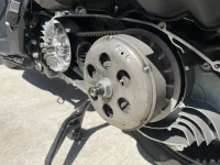 IMG_1432.webp