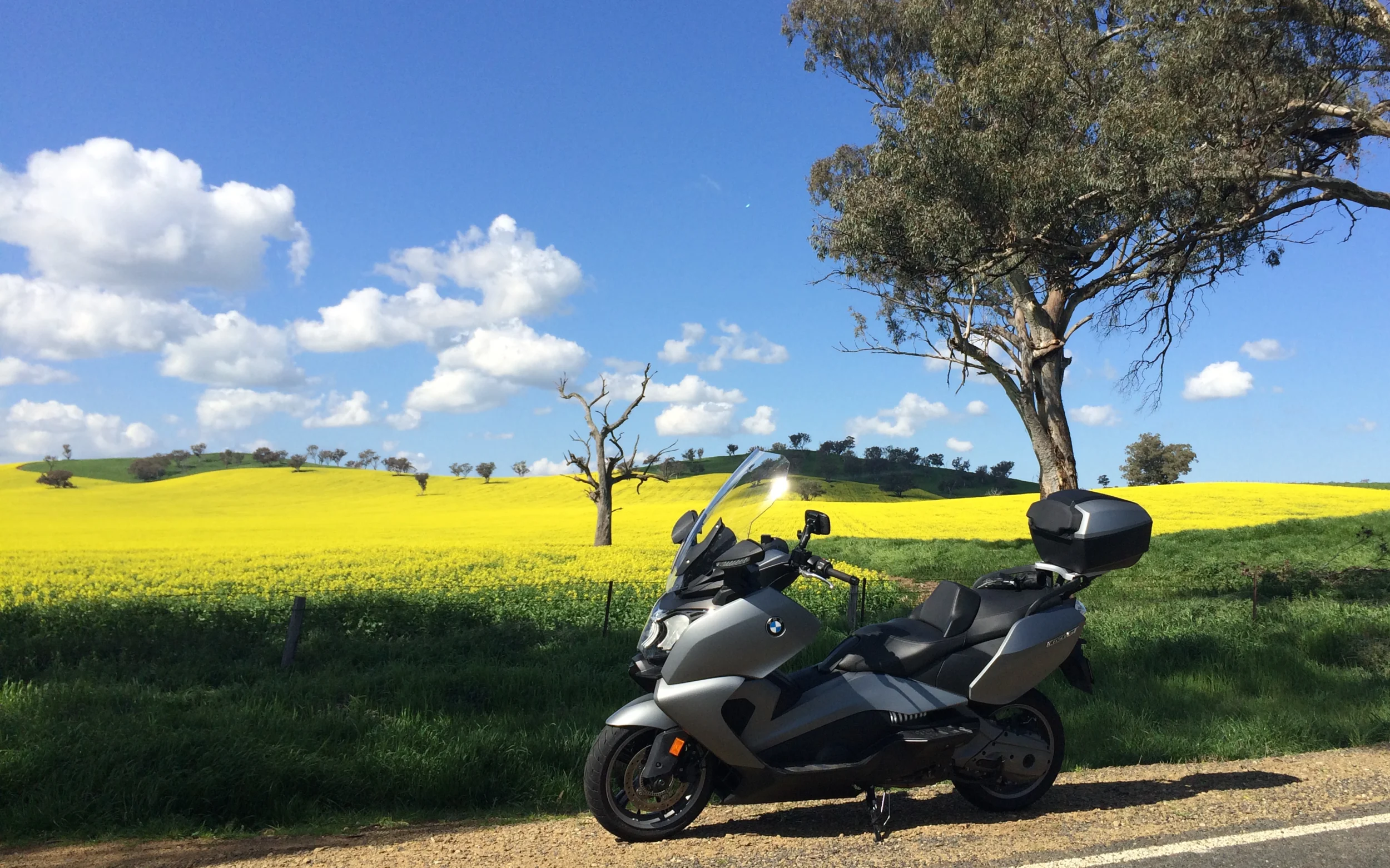 Spring sprung in OZ 1